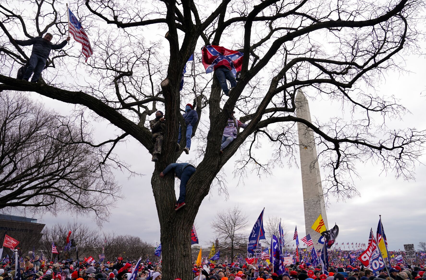 Electoral College Photo Gallery